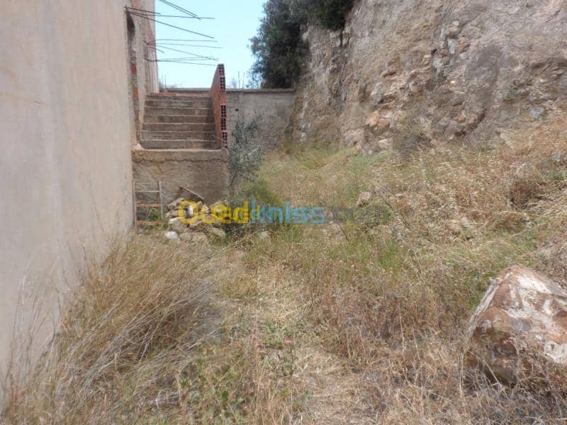 Vente Terrain Tipaza Cherchell 32