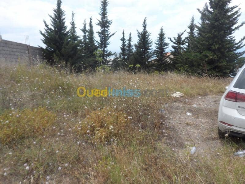 Vente Terrain Tipaza Cherchell 33