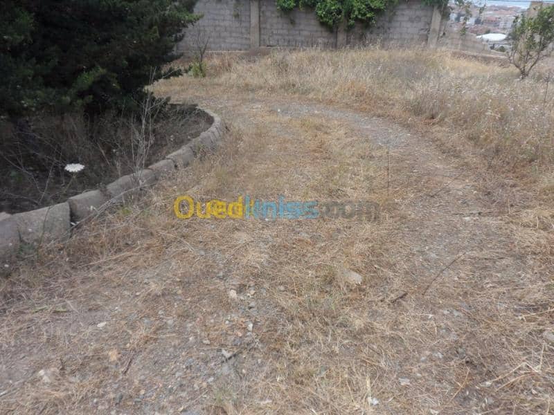 Vente Terrain Tipaza Cherchell 36