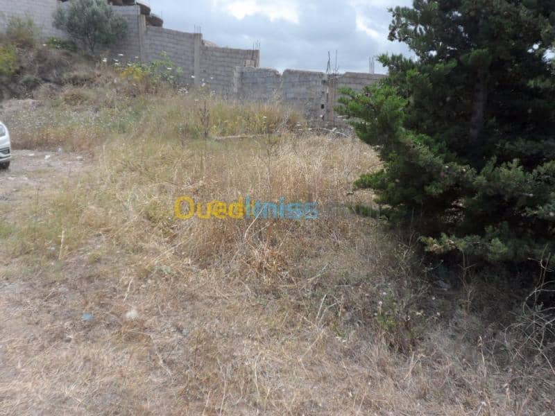 Vente Terrain Tipaza Cherchell 37