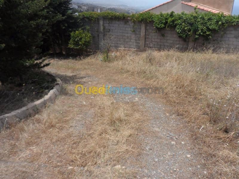 Vente Terrain Tipaza Cherchell 38