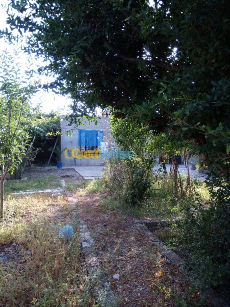 Vente Villa Tlemcen Ghazaouet 11