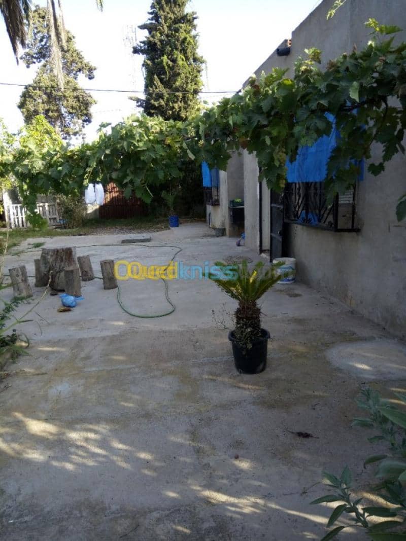Vente Villa Tlemcen Ghazaouet 12