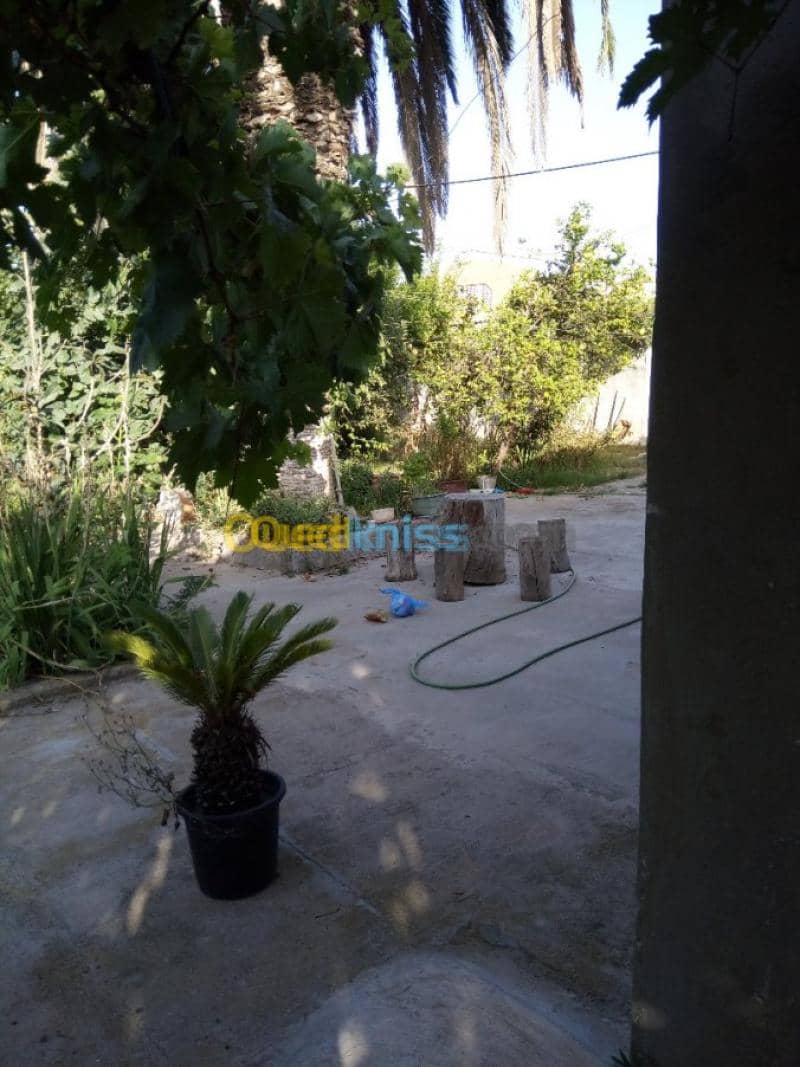 Vente Villa Tlemcen Ghazaouet 13