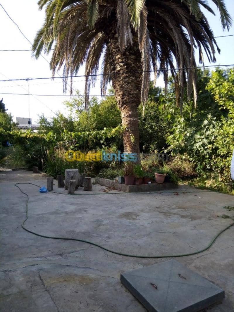 Vente Villa Tlemcen Ghazaouet 14