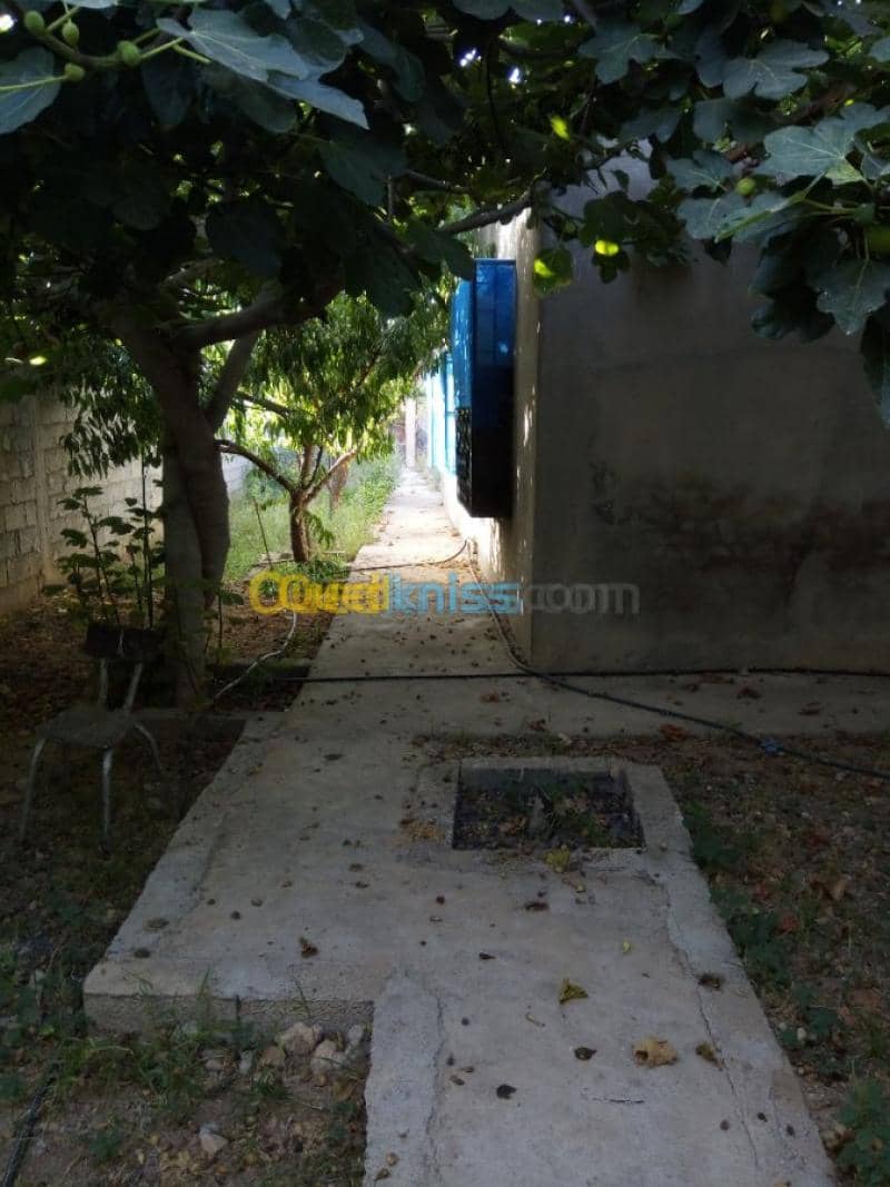 Vente Villa Tlemcen Ghazaouet 15