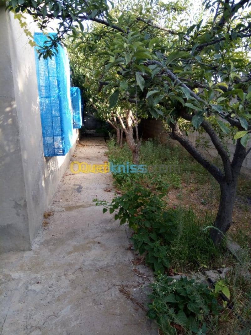 Vente Villa Tlemcen Ghazaouet 16