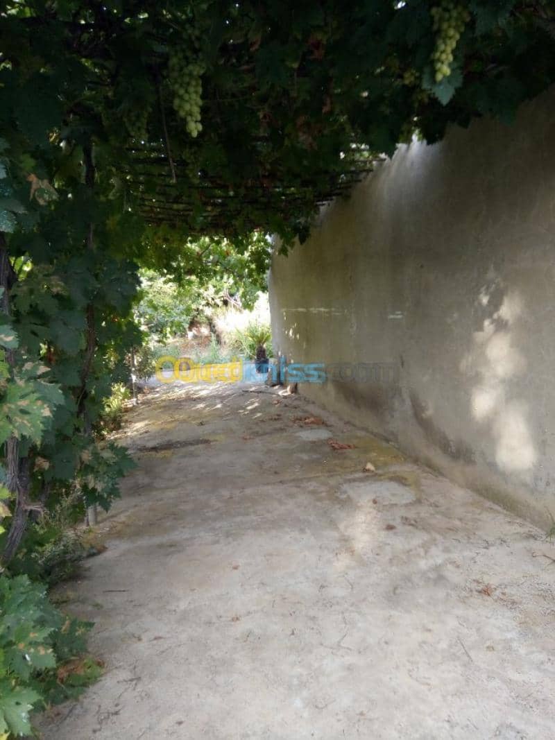 Vente Villa Tlemcen Ghazaouet 17