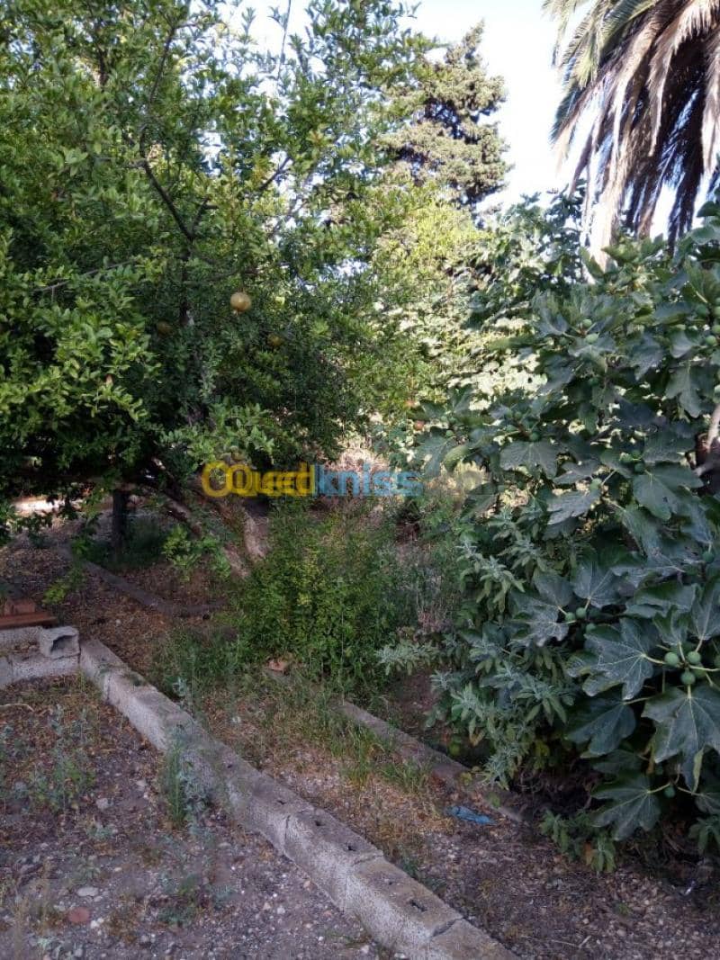 Vente Villa Tlemcen Ghazaouet 18