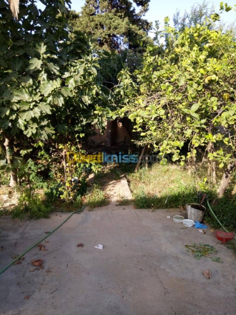 Vente Villa Tlemcen Ghazaouet 19