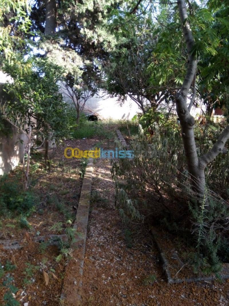 Vente Villa Tlemcen Ghazaouet 20