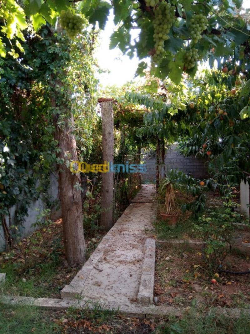 Vente Villa Tlemcen Ghazaouet 21