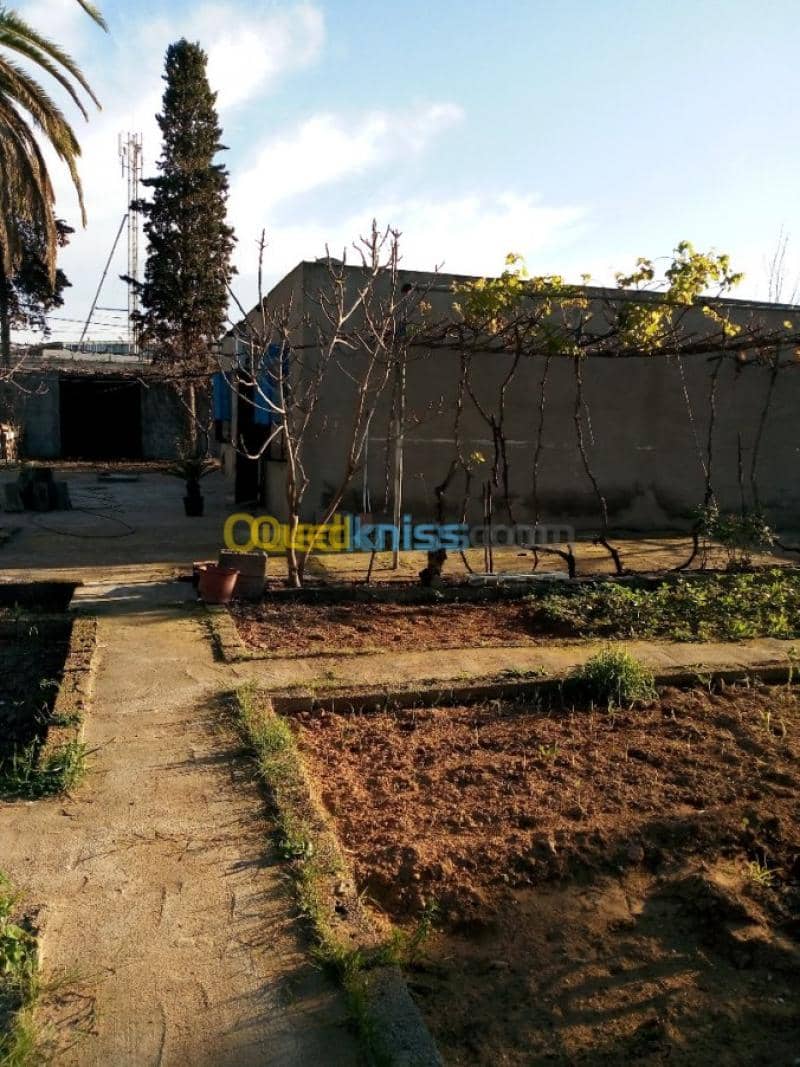 Vente Villa Tlemcen Ghazaouet 25