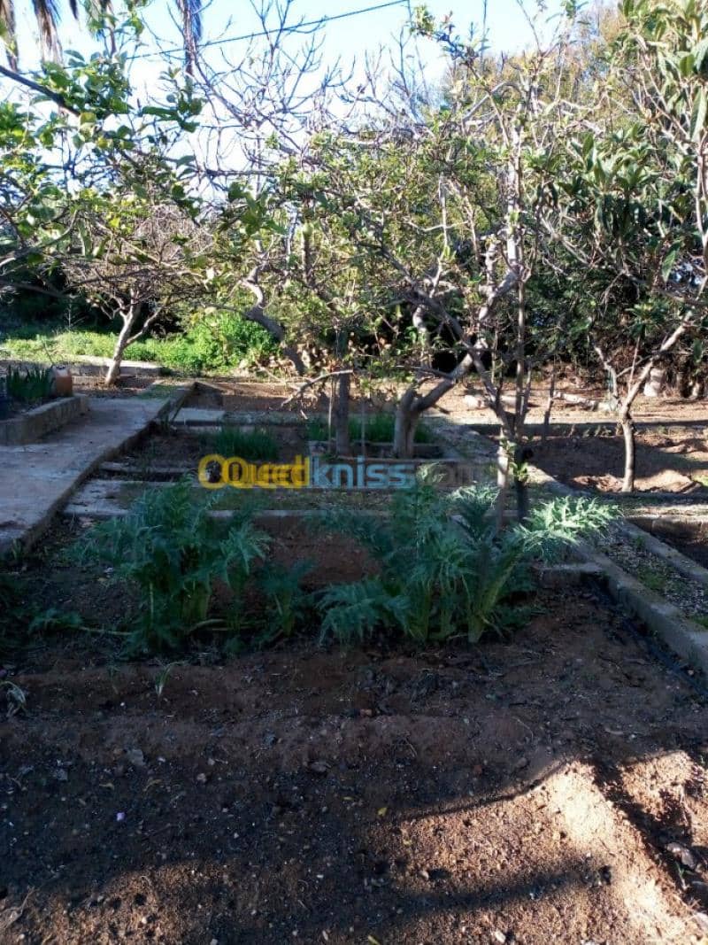 Vente Villa Tlemcen Ghazaouet 26