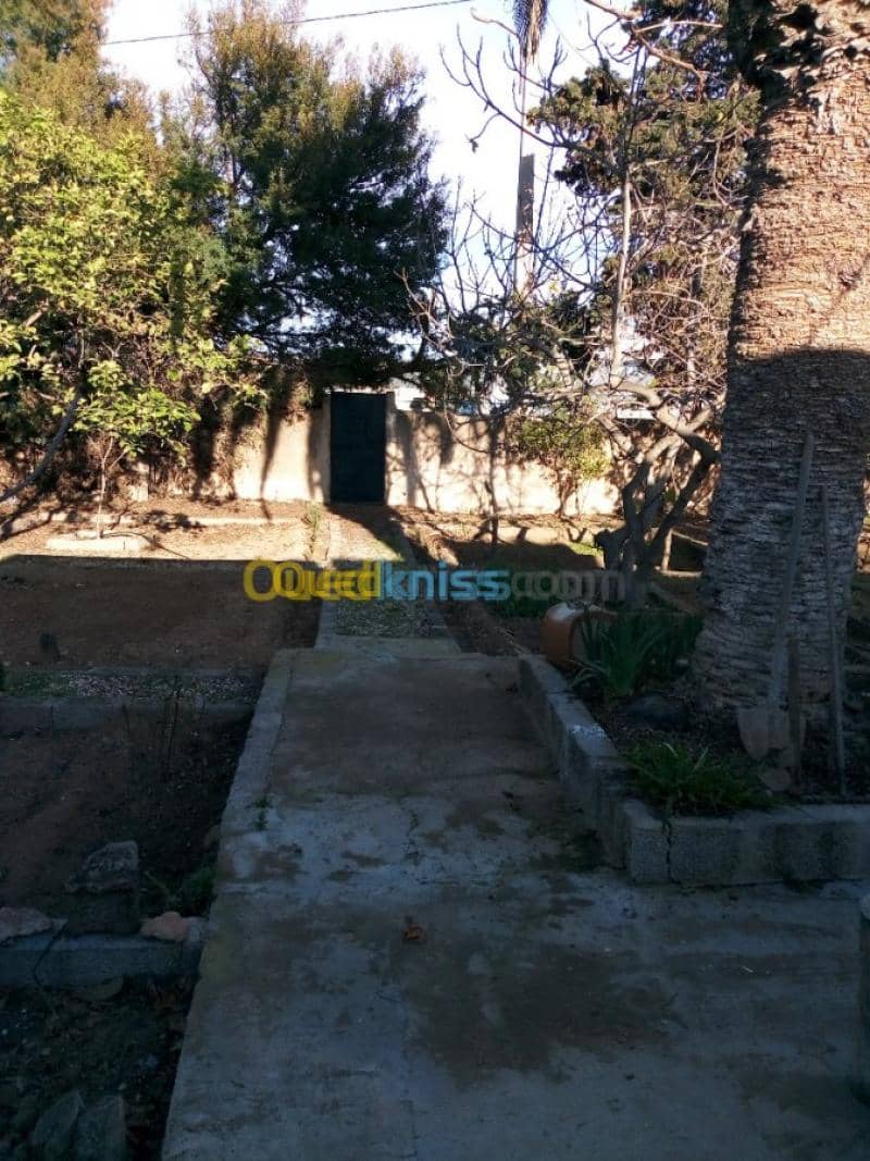 Vente Villa Tlemcen Ghazaouet 27