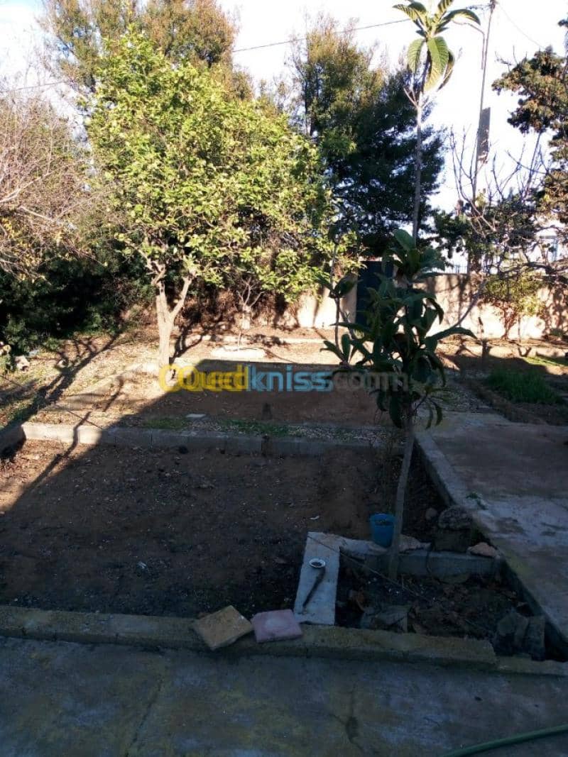 Vente Villa Tlemcen Ghazaouet 29