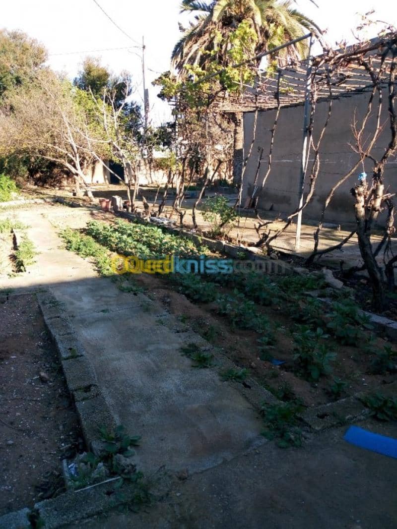 Vente Villa Tlemcen Ghazaouet 31