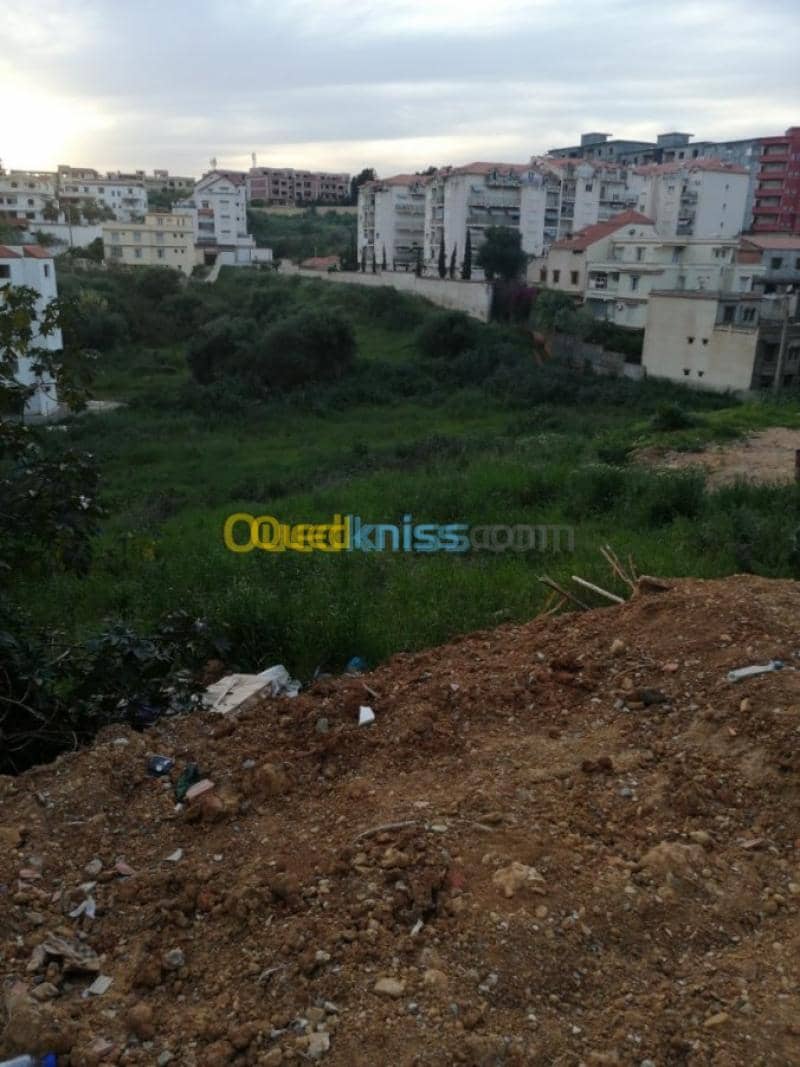 Vente Terrain Alger Ain naadja