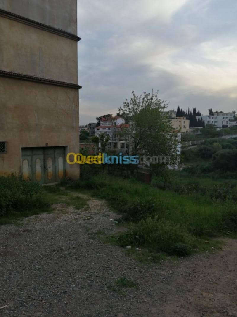 Vente Terrain Alger Ain naadja 9