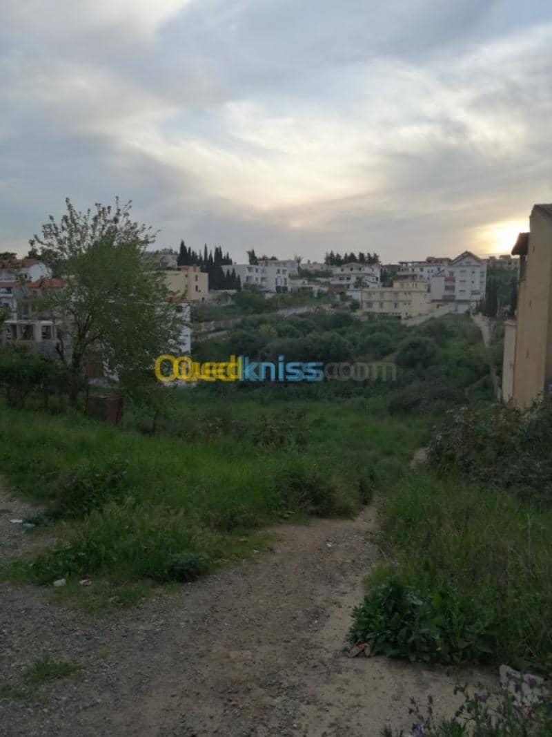 Vente Terrain Alger Ain naadja 10