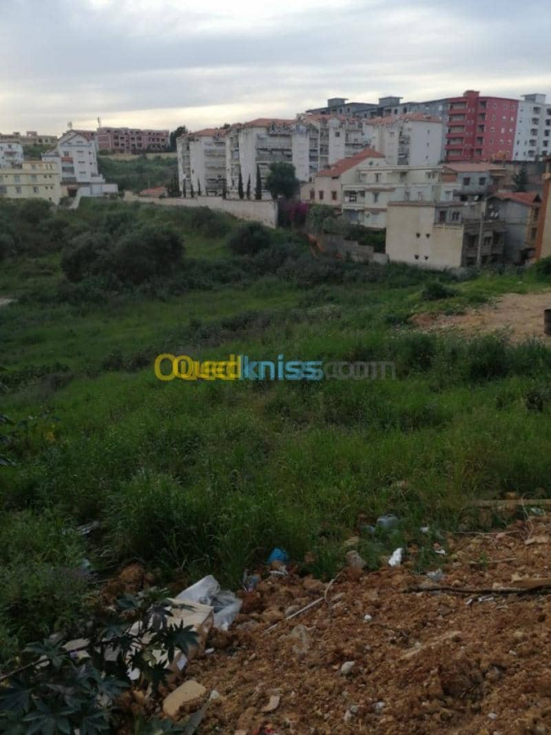 Vente Terrain Alger Ain naadja 2