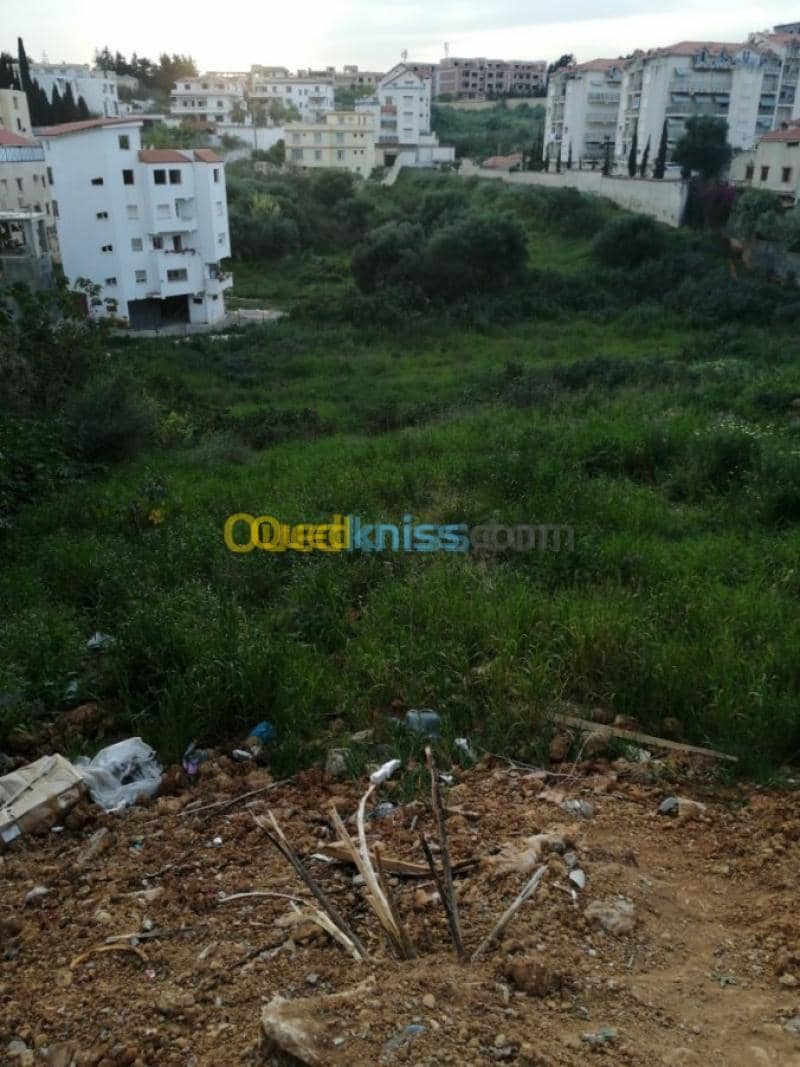 Vente Terrain Alger Ain naadja 3