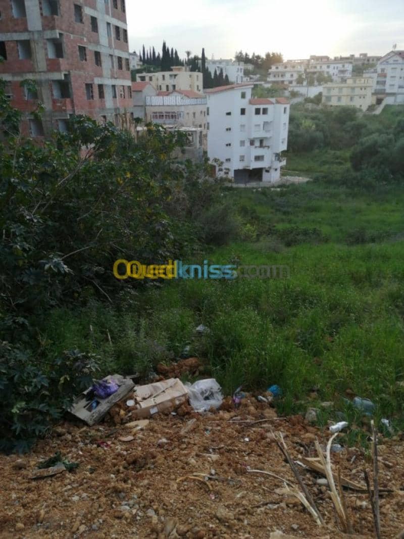 Vente Terrain Alger Ain naadja 7
