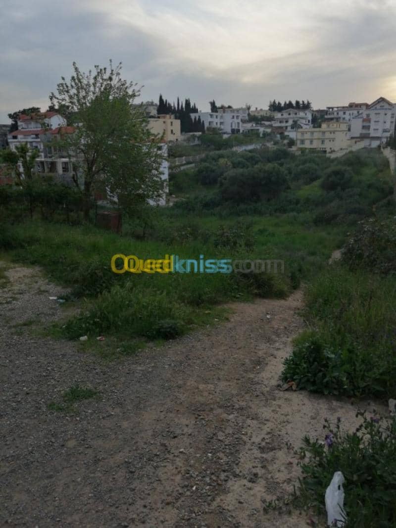 Vente Terrain Alger Ain naadja 8