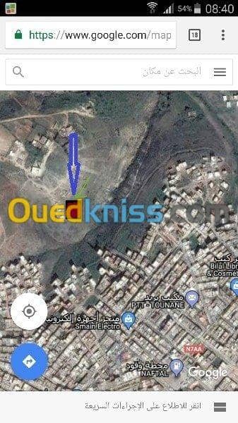 Vente Terrain Tlemcen Souahlia 2