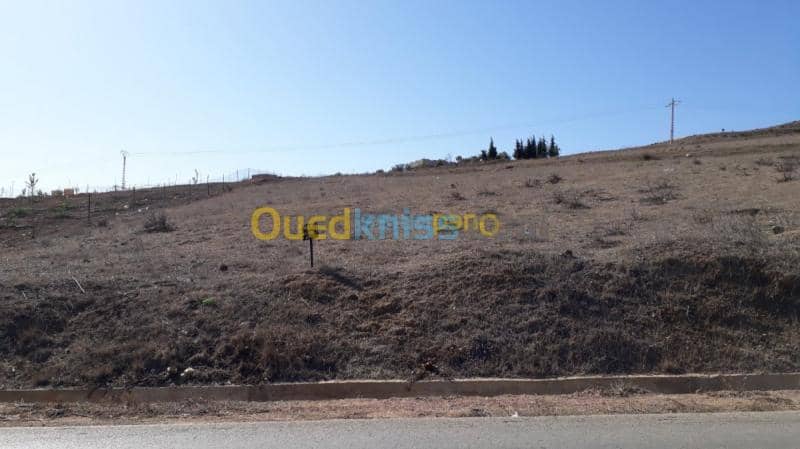 Vente Terrain Tlemcen Souahlia 2