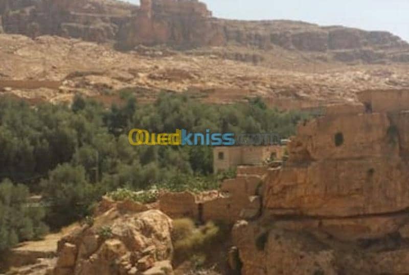 Location Villa Biskra Biskra 4
