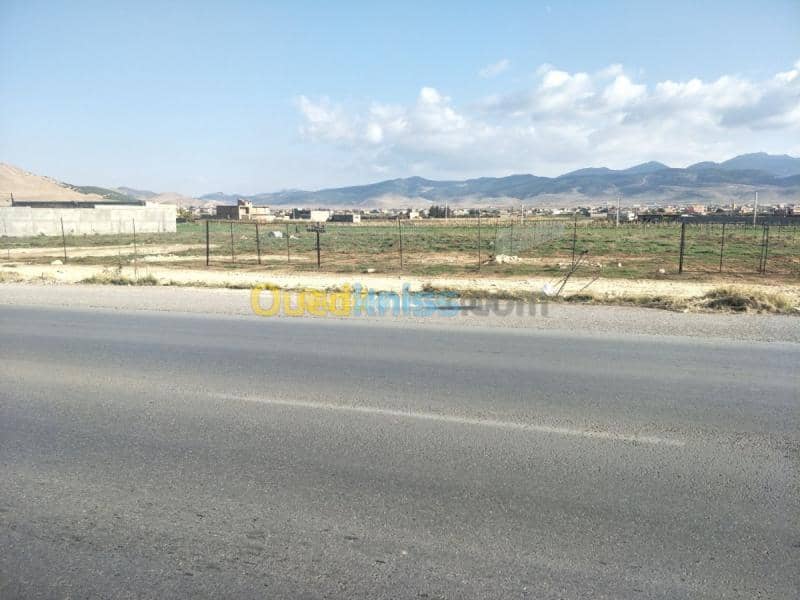 Location Terrain Setif Rasfa
