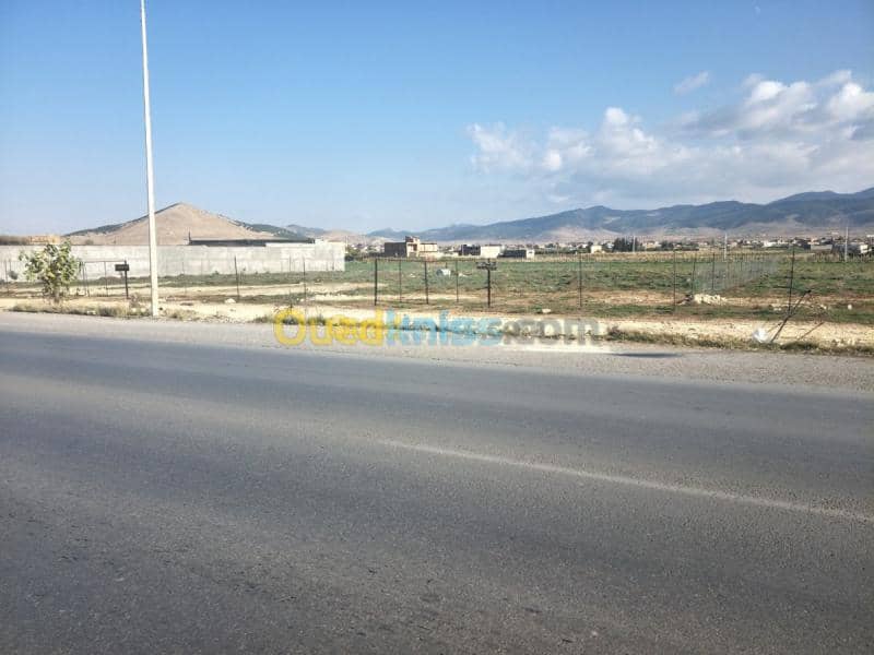 Location Terrain Setif Rasfa 3