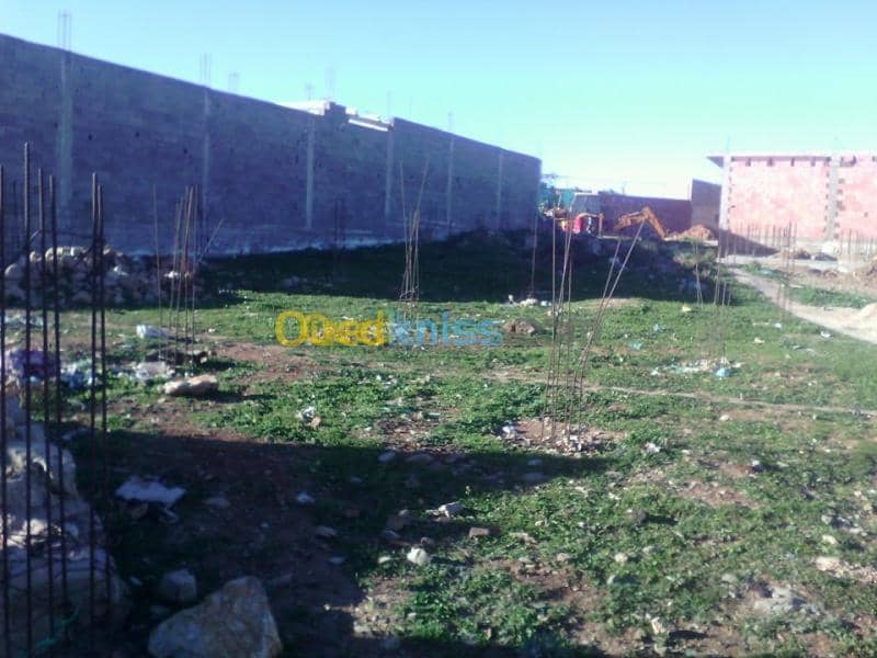 Vente Terrain Tlemcen Tirni beni hediel 2