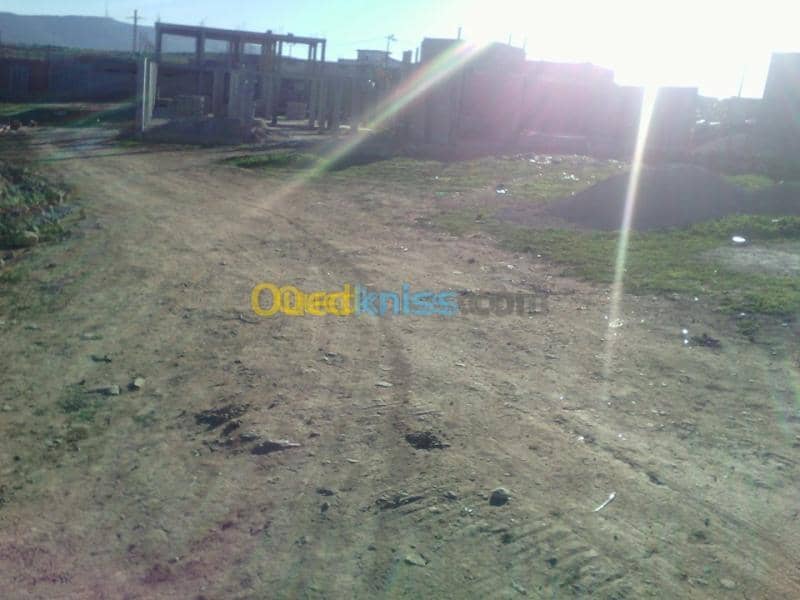 Vente Terrain Tlemcen Tirni beni hediel 4