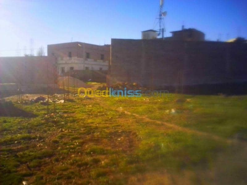 Vente Terrain Tlemcen Tirni beni hediel 5