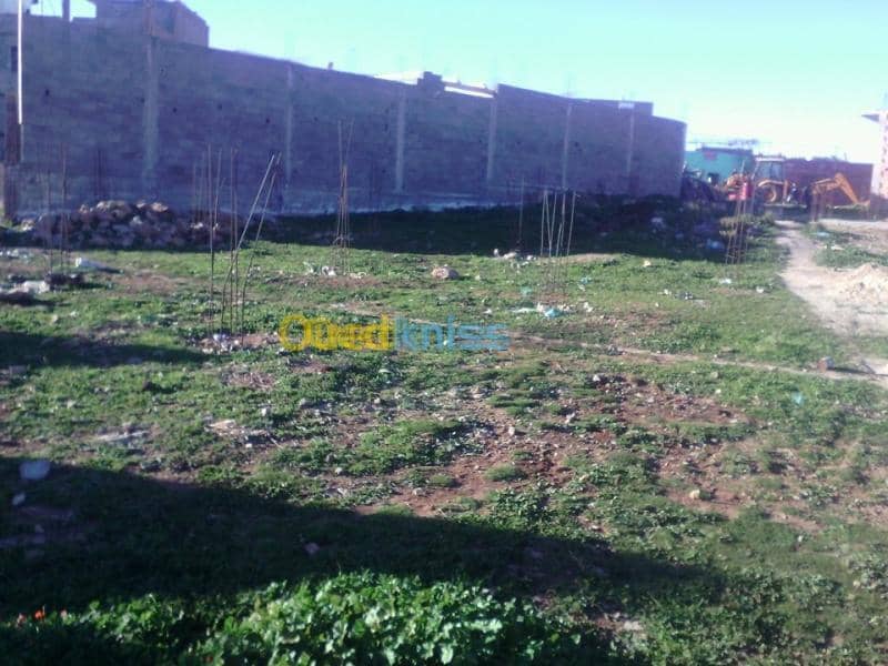 Vente Terrain Tlemcen Tirni beni hediel 6
