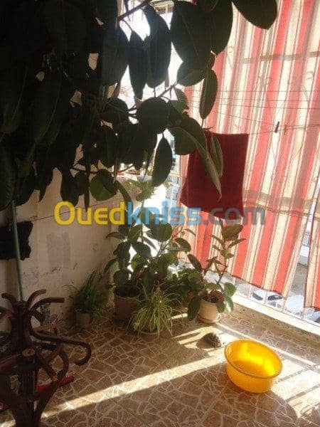 Echange bien immobilier Bejaia Bejaia 5