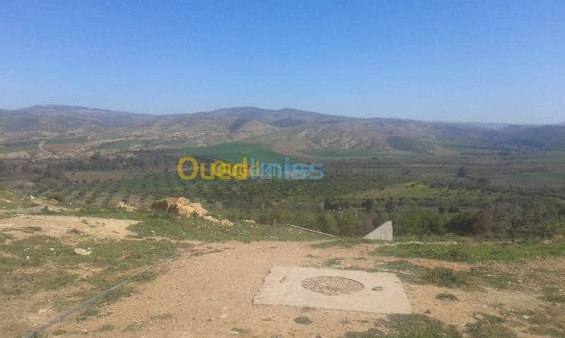 Vente Terrain Tlemcen Remchi