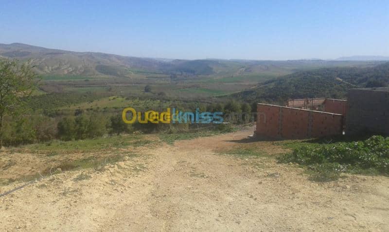 Vente Terrain Tlemcen Remchi 2