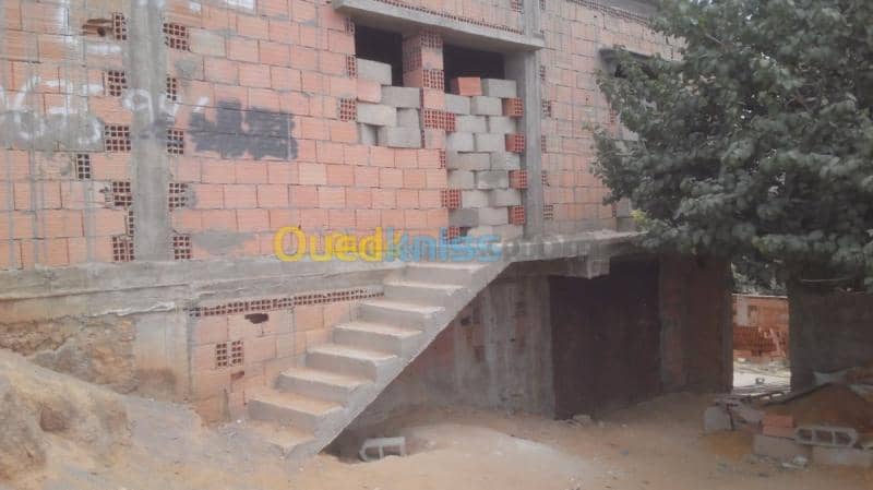 Vente Carcasse Relizane Mazouna 2