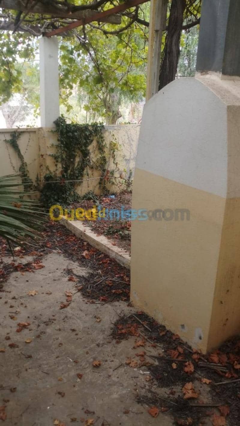 Vente Villa Tlemcen Souahlia 5