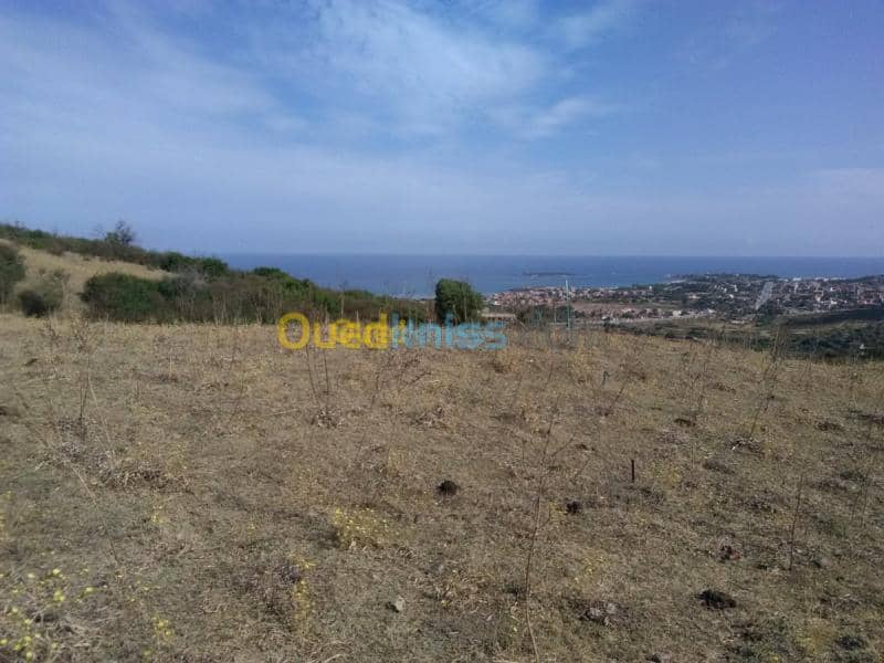 Vente Terrain Jijel El aouana