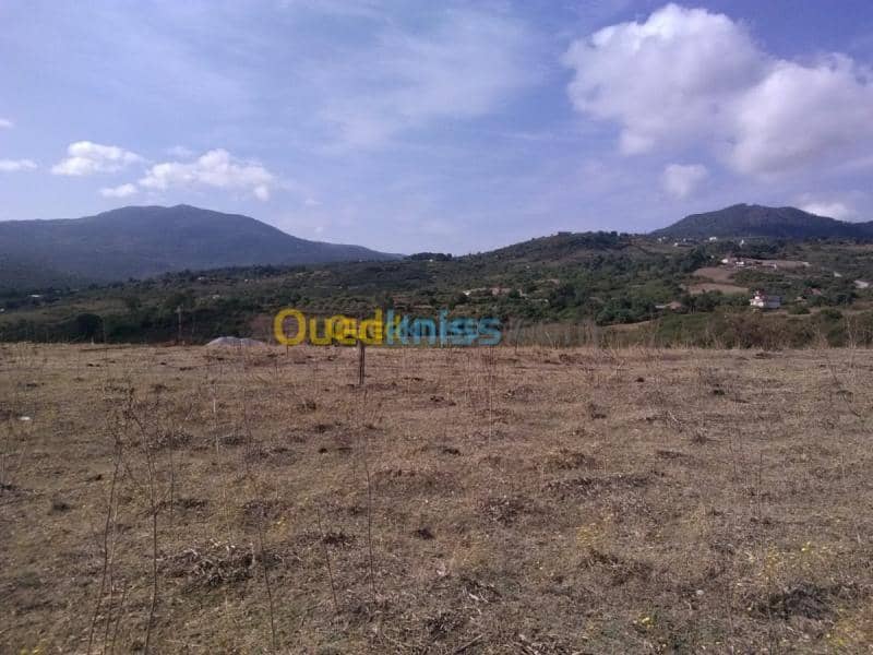 Vente Terrain Jijel El aouana 2