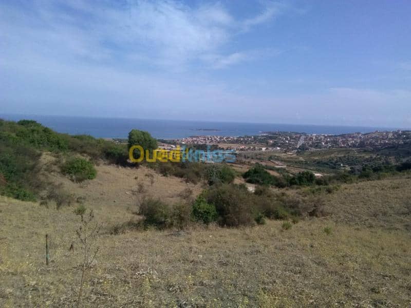 Vente Terrain Jijel El aouana 3