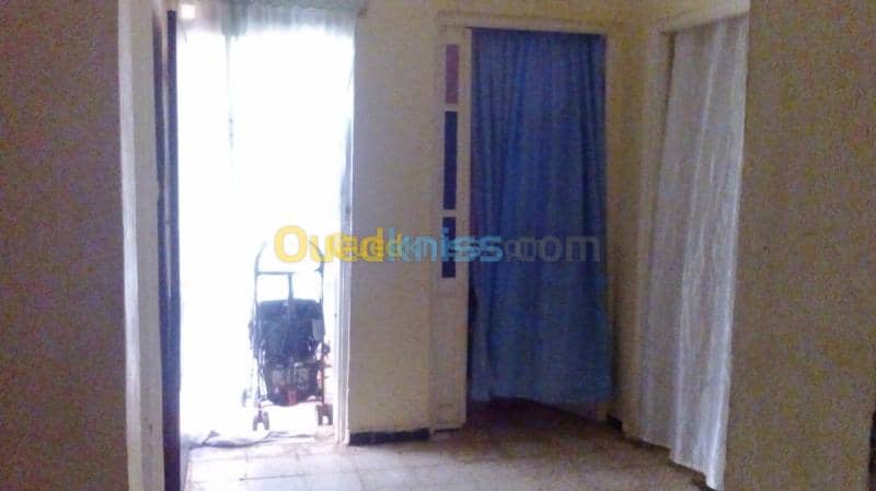 Vente Appartement F6 Naama Mecheria 4