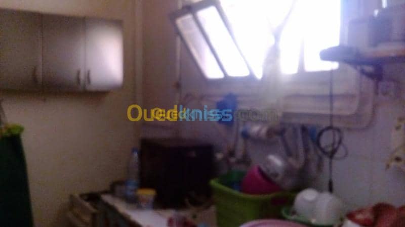 Vente Appartement F6 Naama Mecheria 6