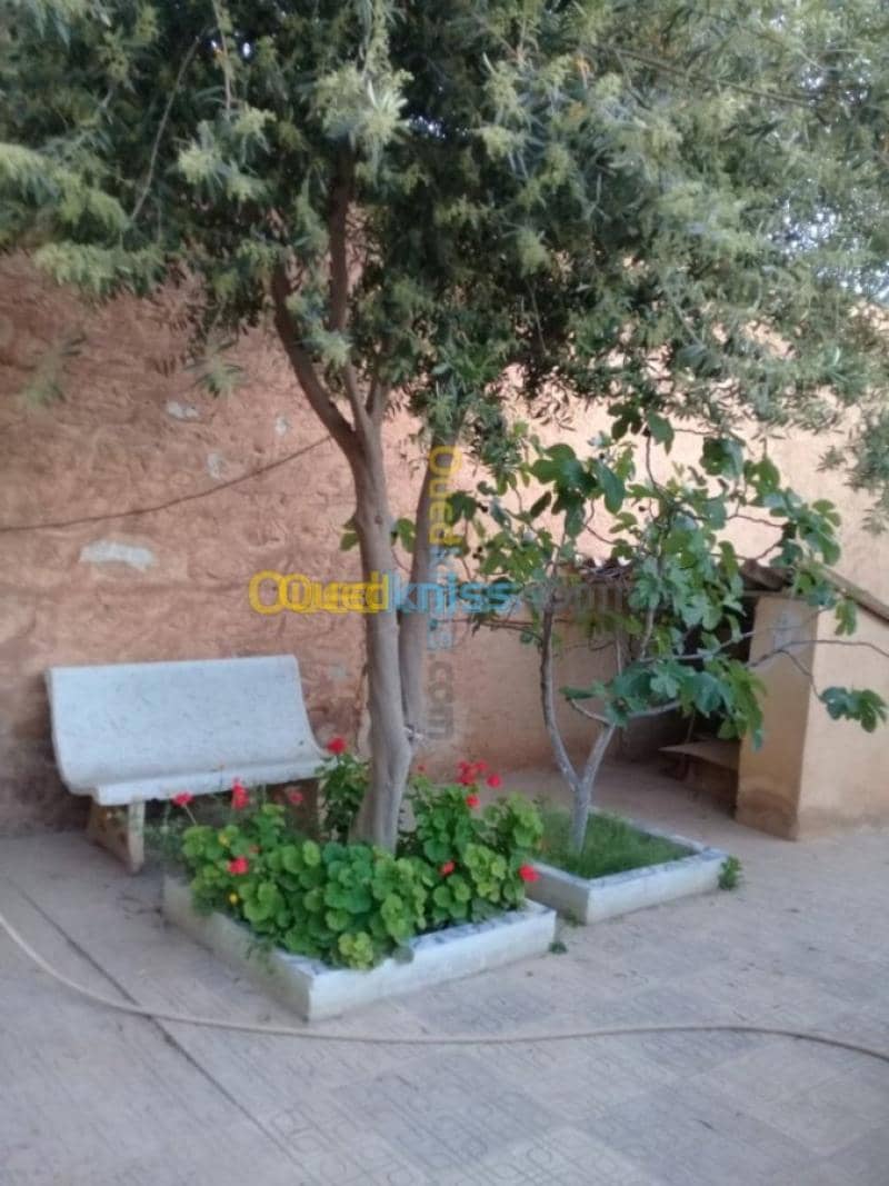 Vente Villa Tiaret Ain deheb 14