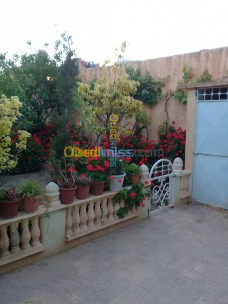 Vente Villa Tiaret Ain deheb 15