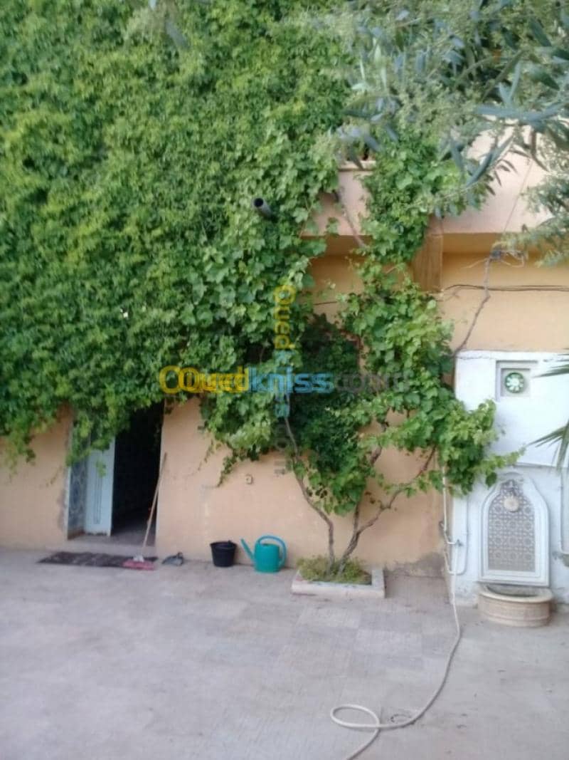 Vente Villa Tiaret Ain deheb 16